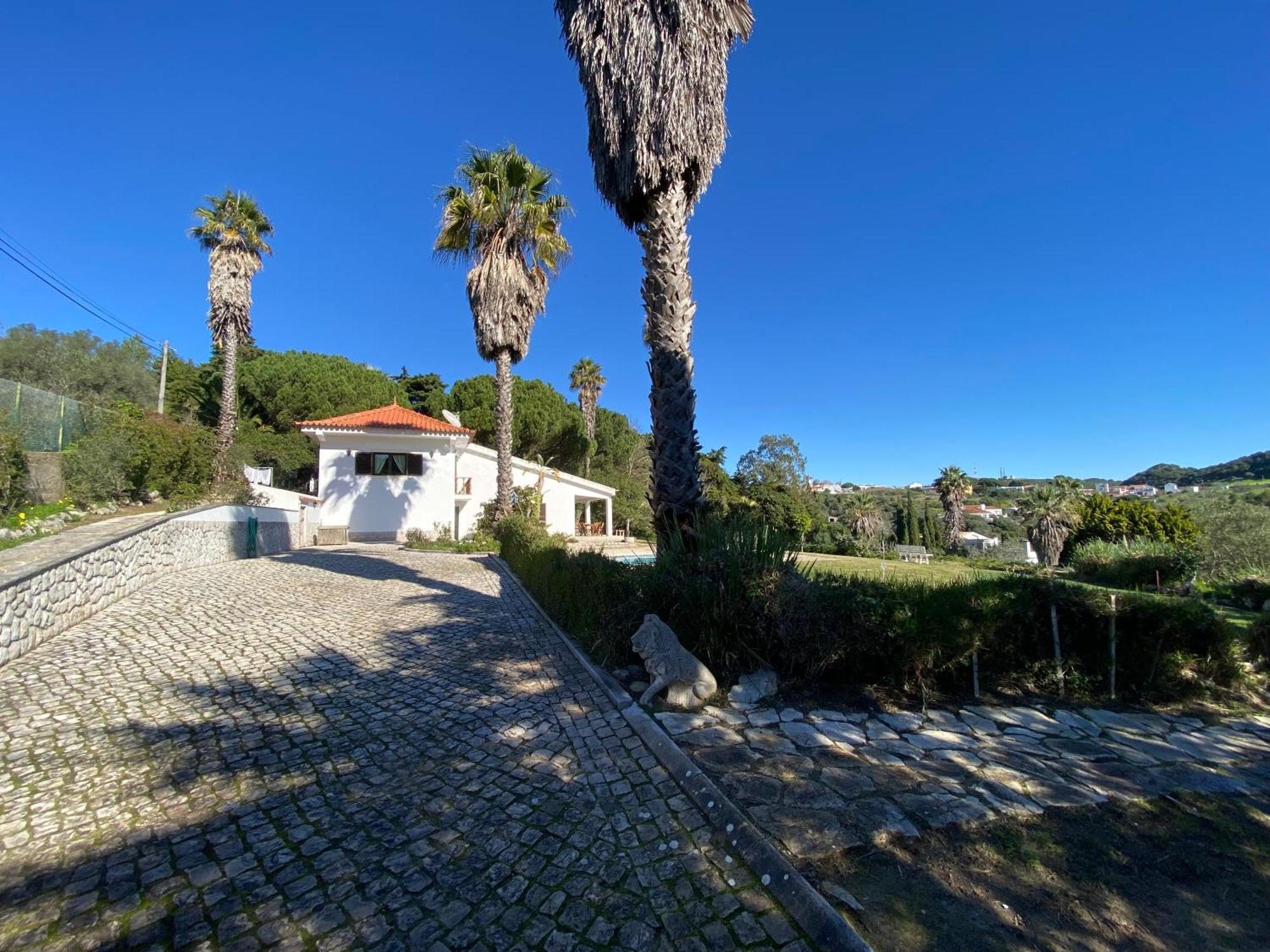 Casa Calidris - Bed, Wine & Breakfast Hotel Sesimbra Bagian luar foto